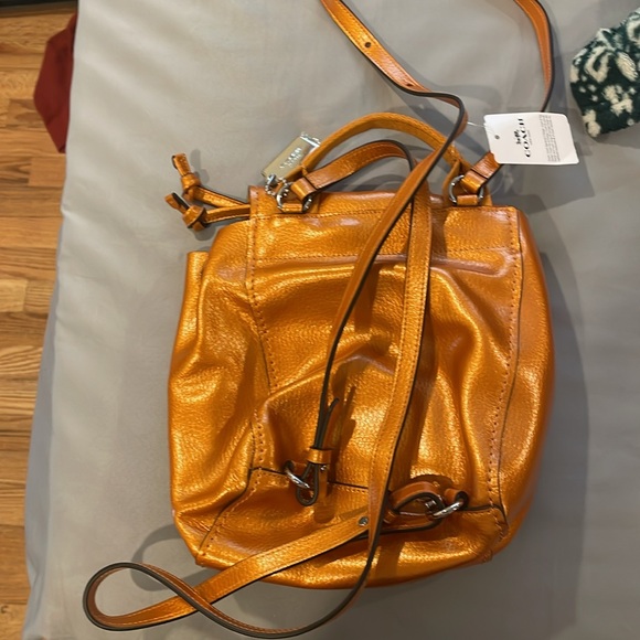 louis vuitton bosphore backpack monogram bag – DAC JanSport Big Student Fluorescent Color:Navy $349 fantasy tiger bag